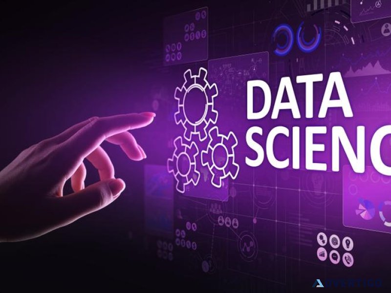 Unlock Your Potential with our Data Scientist Online Course
