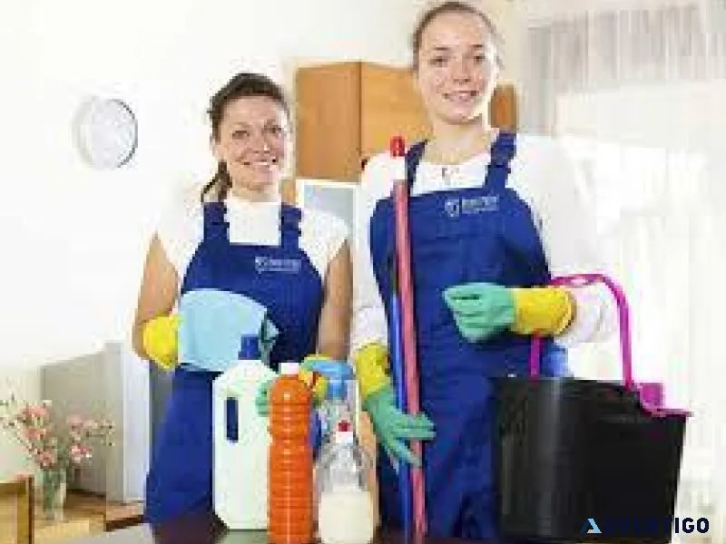Professional House Cleaning Services