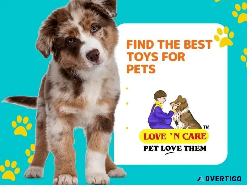 Find the Best Toys for Pets Call 91 9810110201 Now