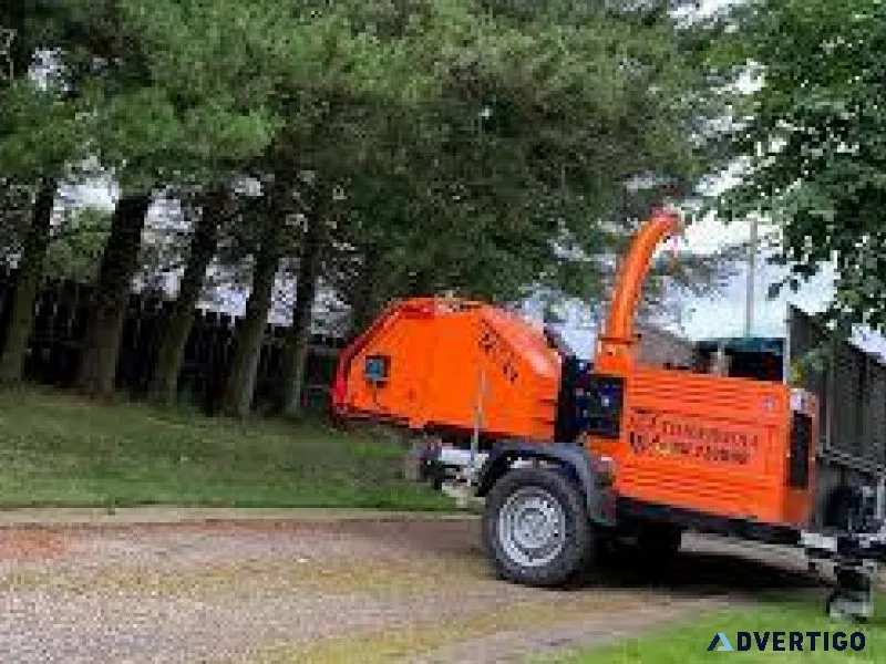 Expert Tree Planting Services at SG Tree Services
