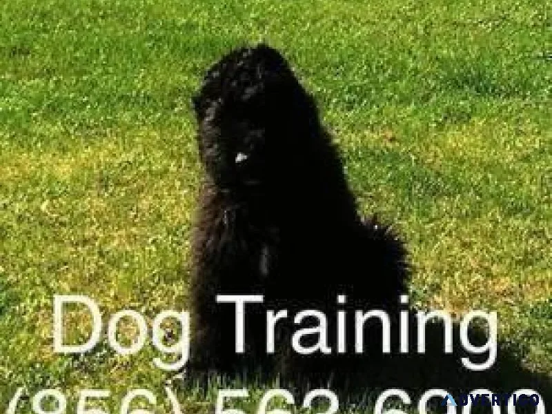 Train them don&rsquot blame them