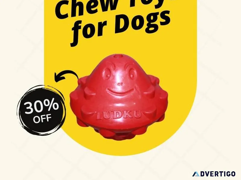Top-Quality Chew Toys for Dogs - Call 91 9810110201