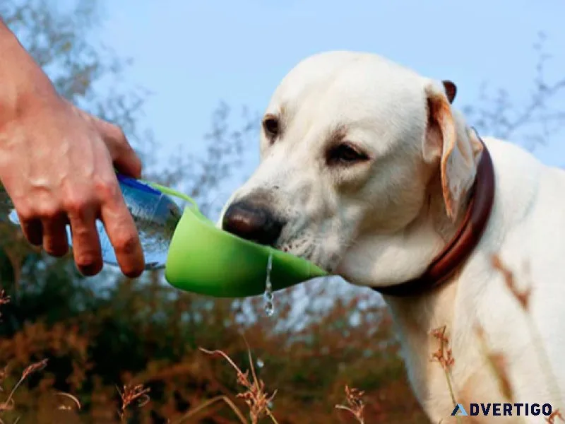 Leaf Outdoor Pet Drinking Bottle lovepetin