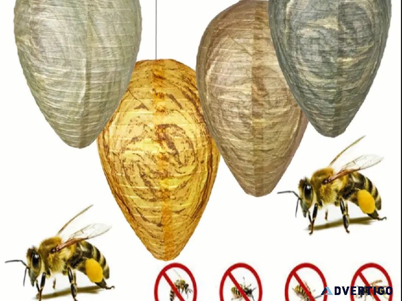 Wasp Trap
