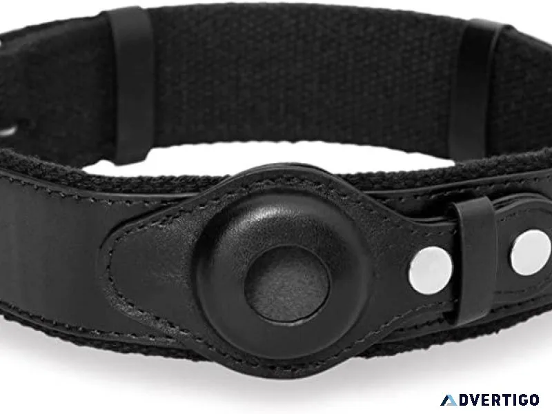 Leder-AirTag-Hundeha lsband
