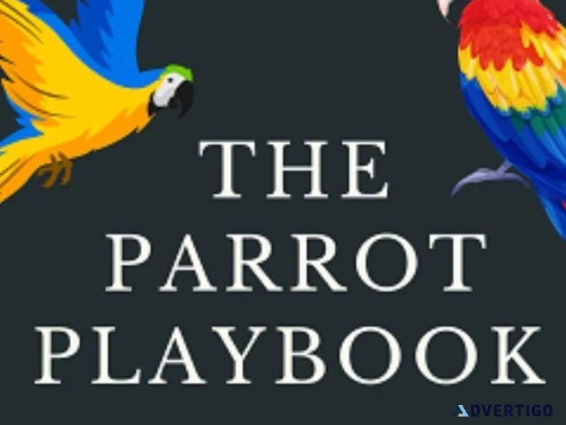 Strategies for Keeping Your Bird Active