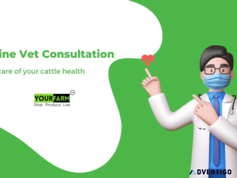 Who is the best veterinary doctor near me
