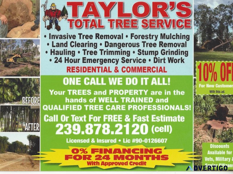 TREE AND STUMP REMOVAL LAND CLEARING GRAPPLE LOADS DIRT WORK