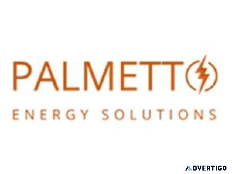 Palmetto Energy- Feasible way to change the future