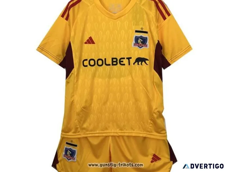 Trikot G&uumlnstig Fussball 2023 2024
