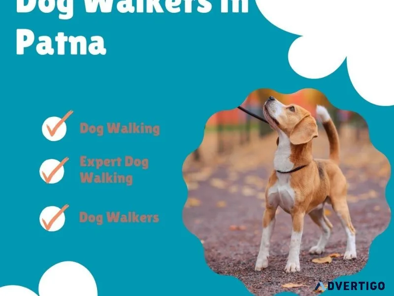 Affordable Dog Walkers Patna