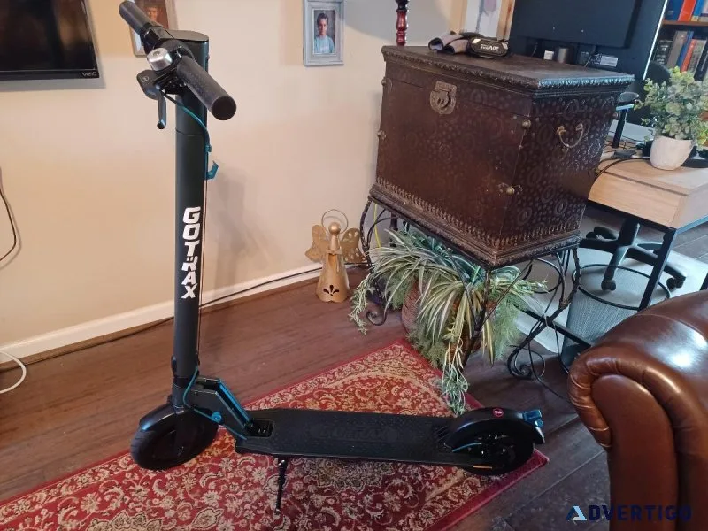 Adult Electric Scooter
