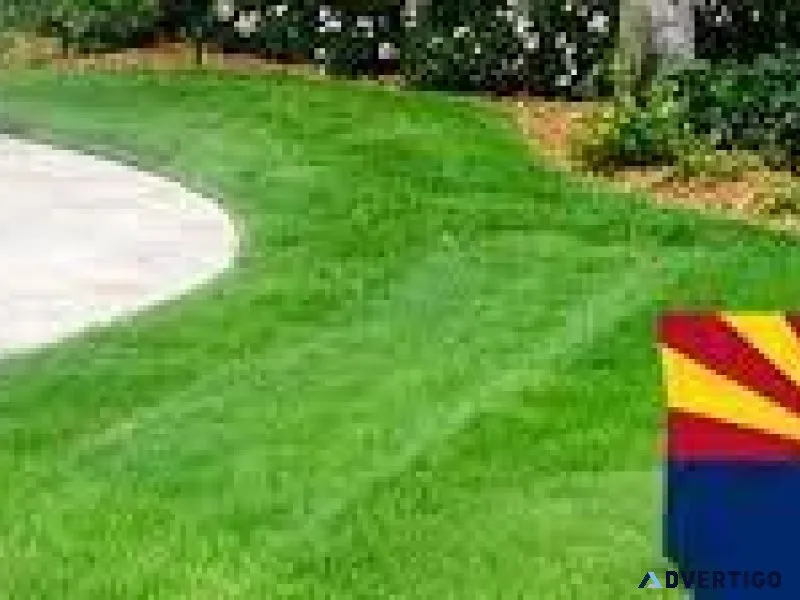 Discover the Best Sergios Lawn Services for Lawn Maintenance