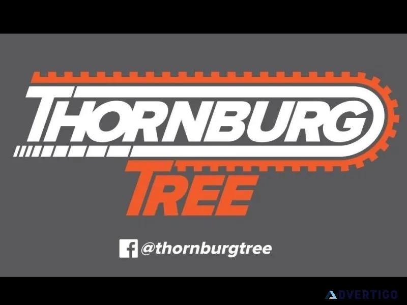 Thornburg Tree