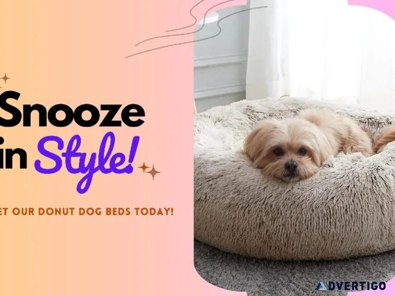 AuzPetz Is Your One-Stop-Shop for Wholesale Pet Supplies in USA