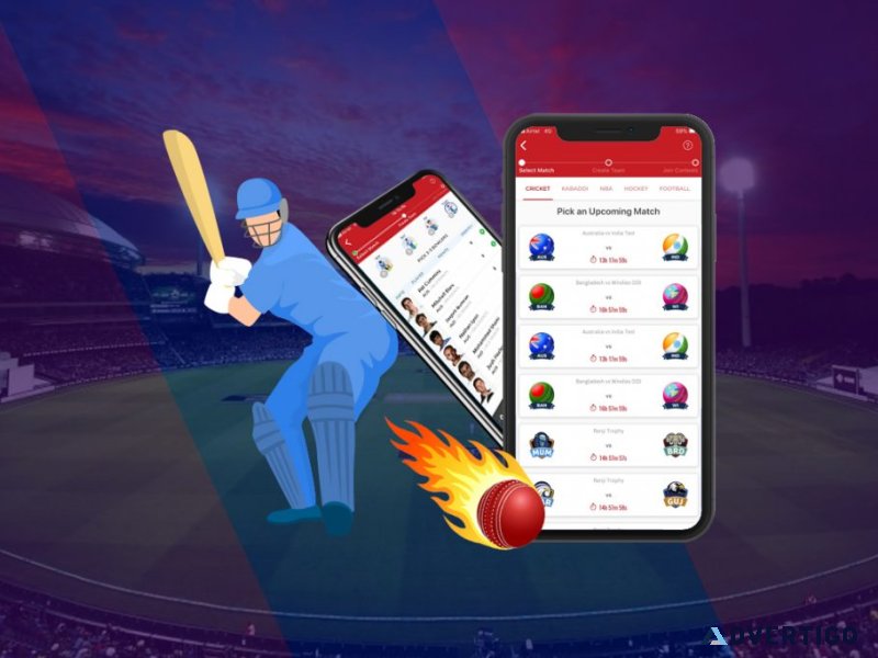 Fantasy cricket app development company
