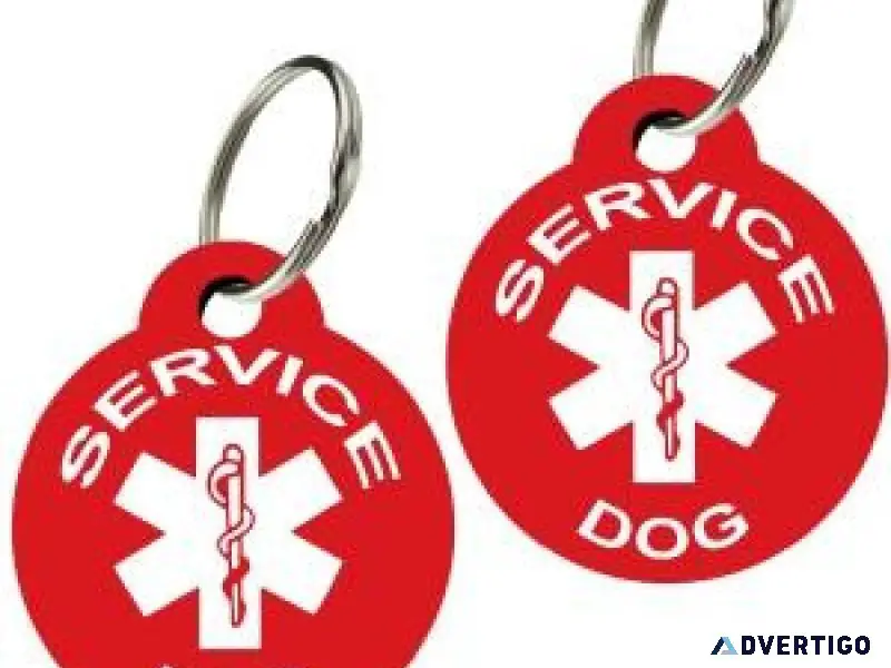 Premium engraved service dog tags