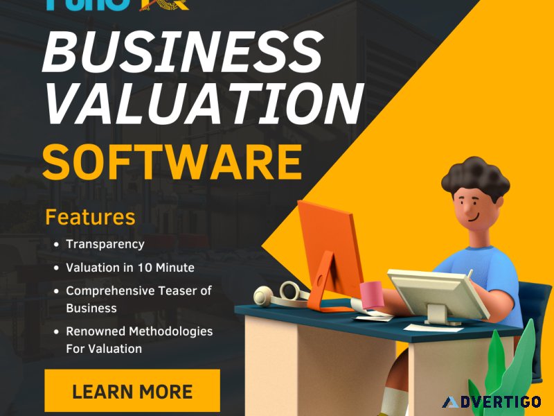 Business valuation software