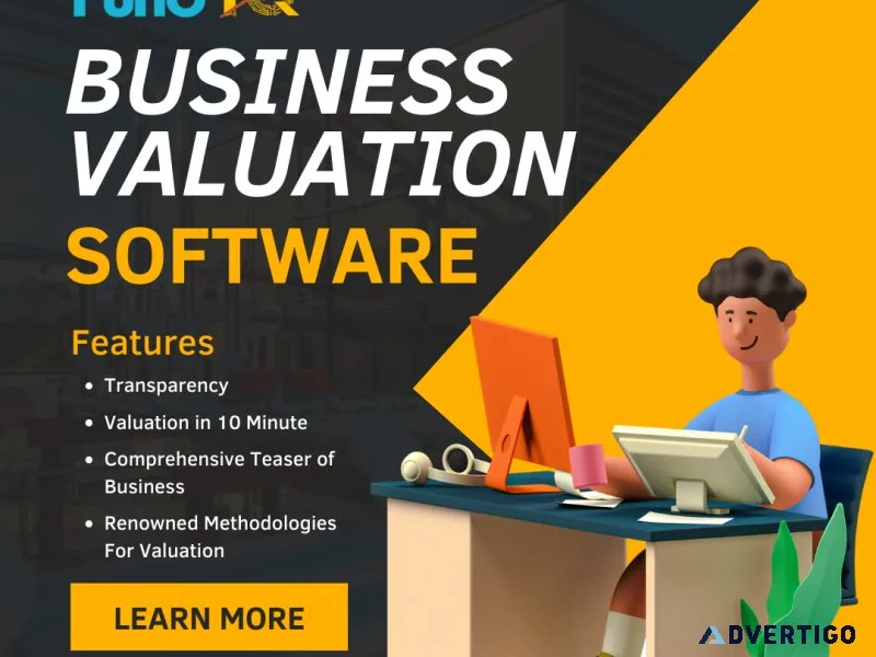 Business valuation software