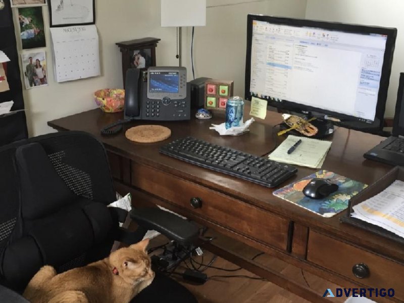 Work from home as clerical worker
