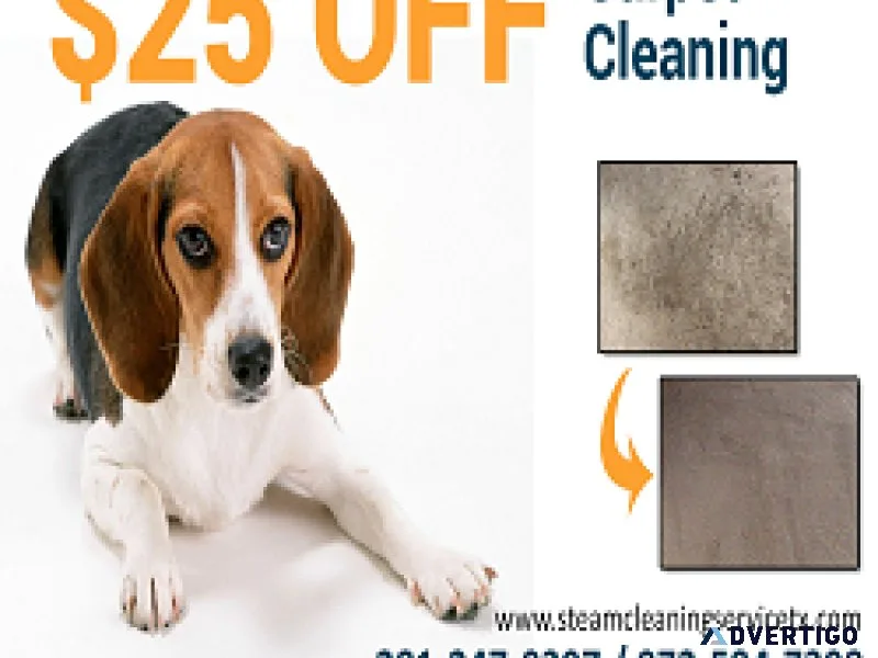 Steam Cleaning Service