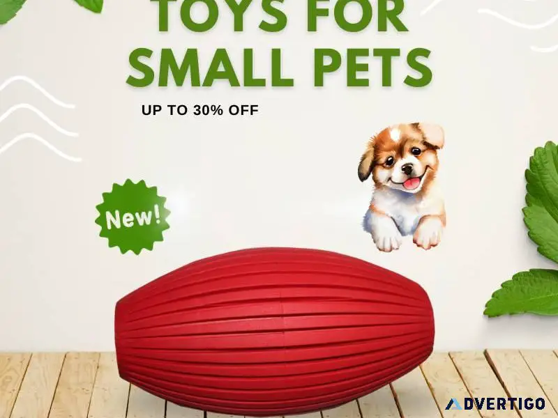 Enriching Playtime Toys for Small Pets - Call 91 9810110201
