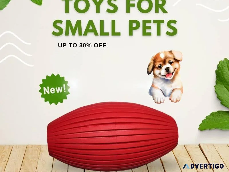 Enriching Playtime Toys for Small Pets - Call 91 9810110201