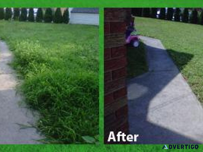 Sam s Tree Work and Landscaping