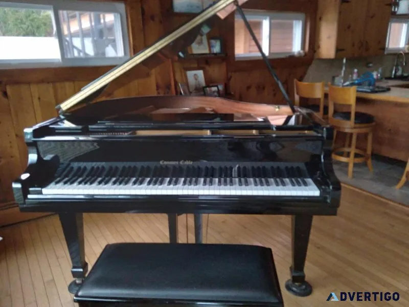 BABY GRAND PIANO