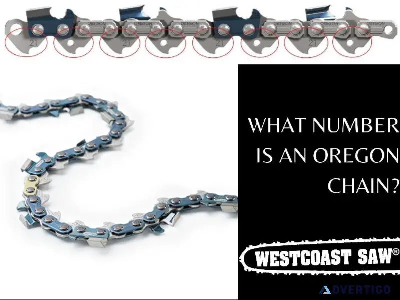 WHAT NUMBER IS AN OREGON CHAIN