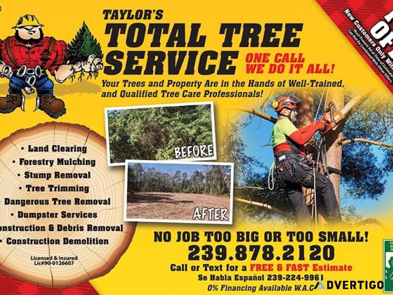 HURRICANE TRIM TREE REMOVAL GRAPPLE LOADS DUMPSTER SERVICE