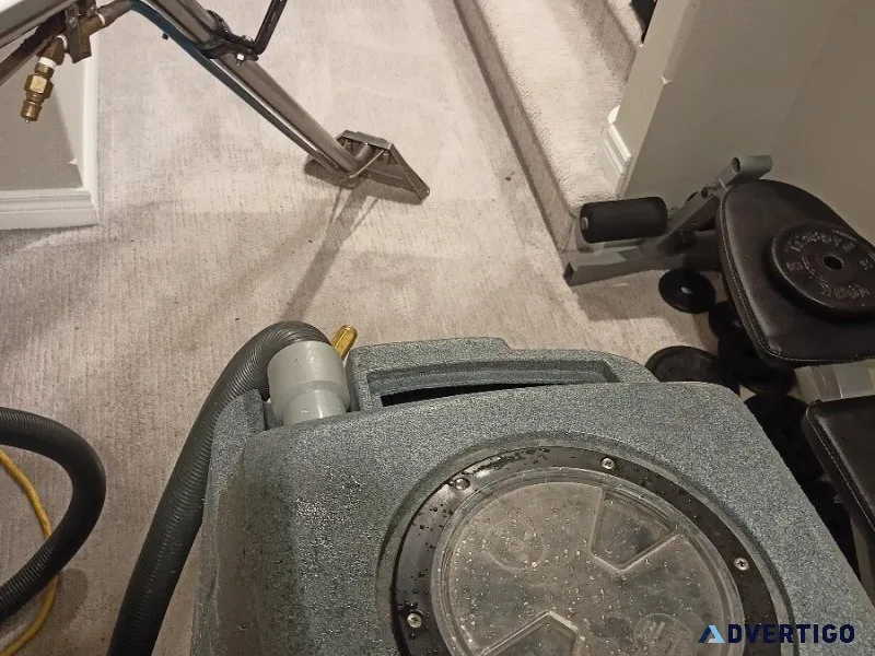Carpet  Rug and Mattress Steam Cleaning