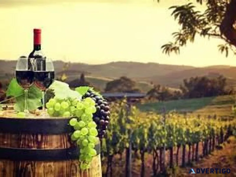 Would you like to make money sharing Fine Wines