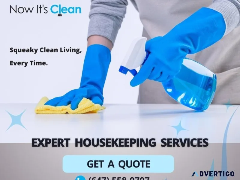 Mississauga Maid Services