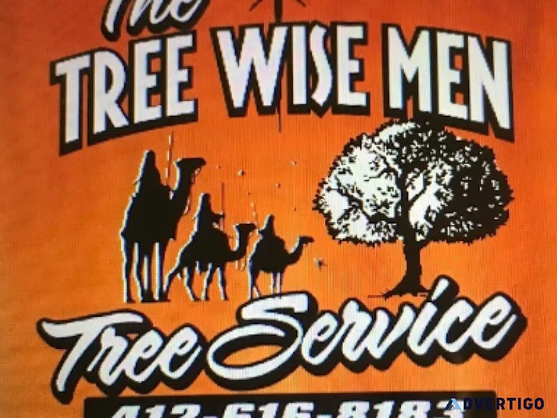 Tree service in Elizabeth PA