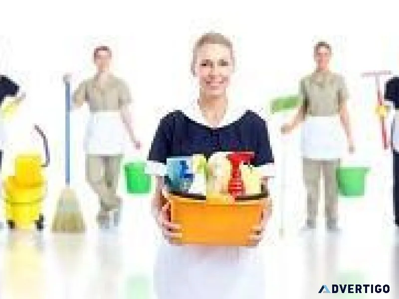 Office cleaning Carpet or Rug cleaning
