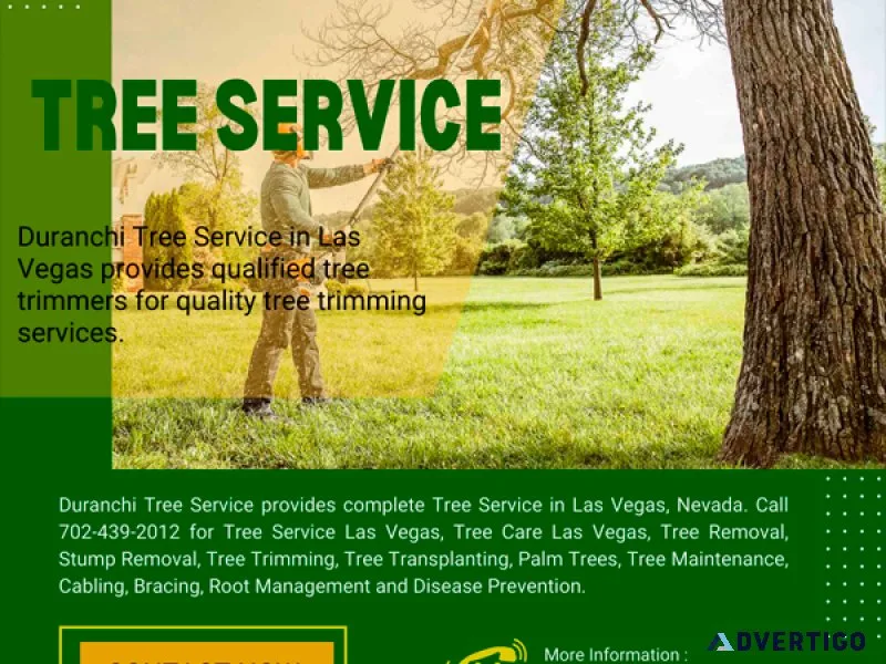 Tree Trimming Las Vegas  Tree Trimmers Las Vegas