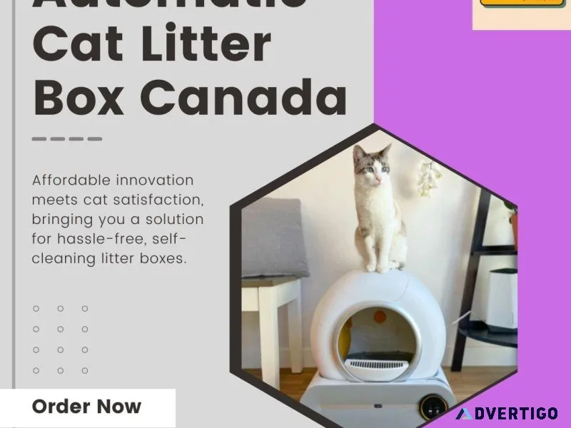 Affordable Automatic Litter Box Smart Solutions Sensible Prices