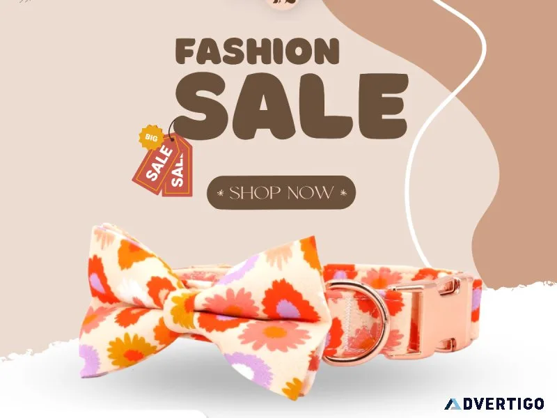 Stylish Personalized Dog Collar in Canada  Dog Collar With Bow