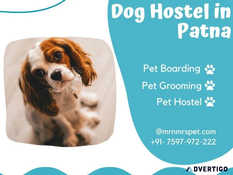 Dog Hostel Patna At Affordable Price