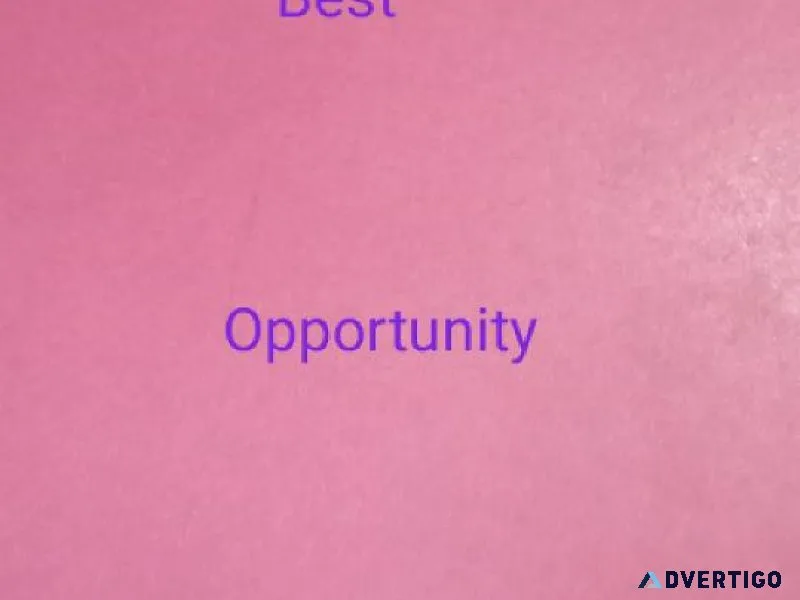 Earn Money Online Without Investment