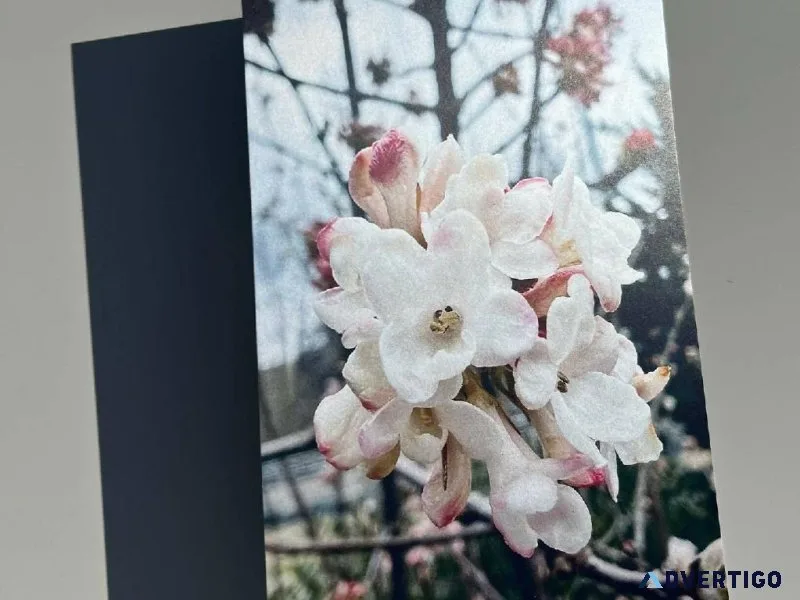 Explore the Paintings and Drawings Collection  Sarap Now