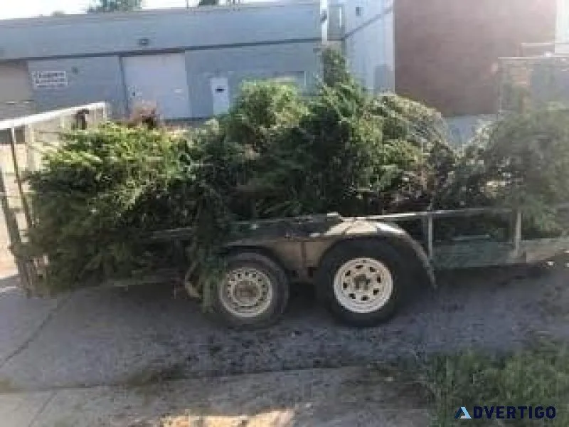 Brushtreedebris removaldemo workmuch more