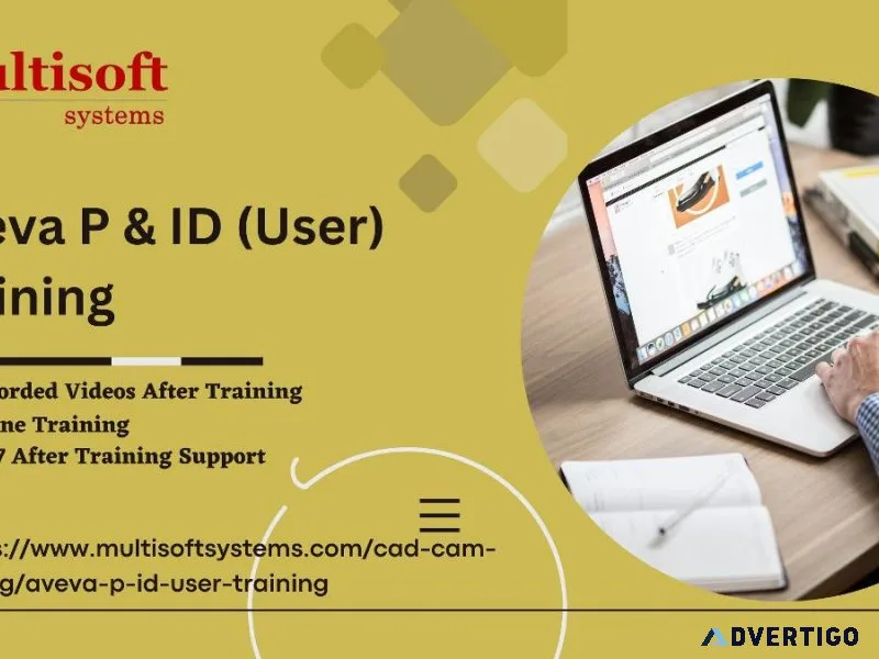 Aveva P and ID (User) Online Training And Certification Course