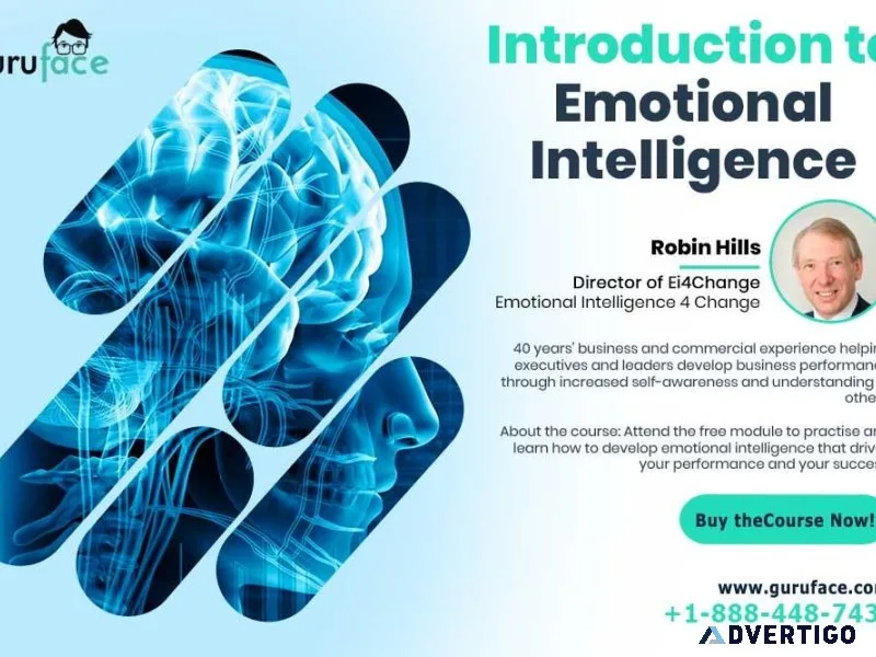 Emotional Intelligence Training for Professionals and others