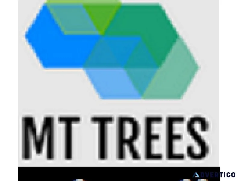 MT Trees Gallery