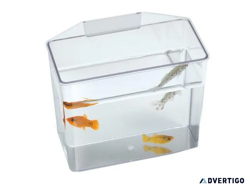 Aquariums for Sale  Explore a Variety of Fish Tanks  Peta2z