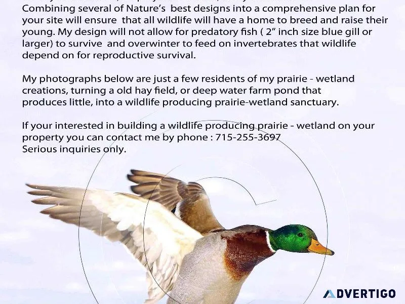 wetland prairie restoration job wanted