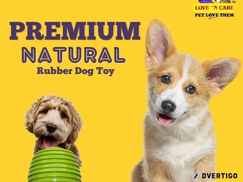 Premium Natural Rubber Dog Toy - Buy Now
