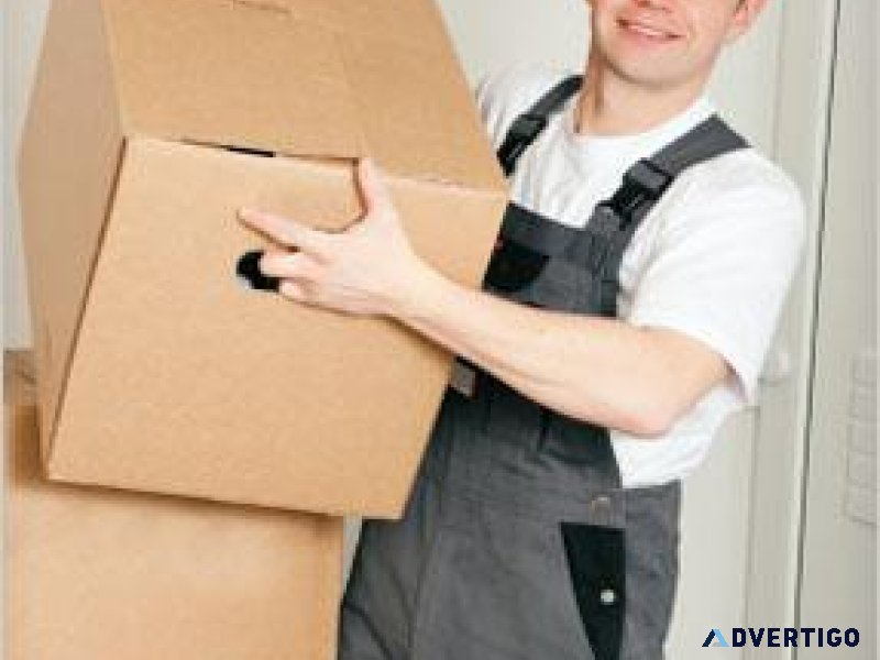 MAN AND VAN HIRE INSURED QUALIFIED AND RELIABLE
